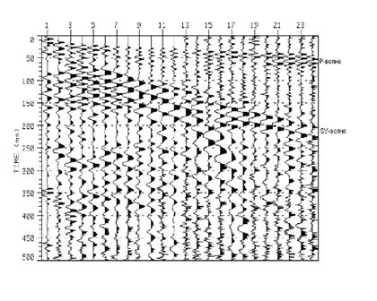 Пример сейсмограммы